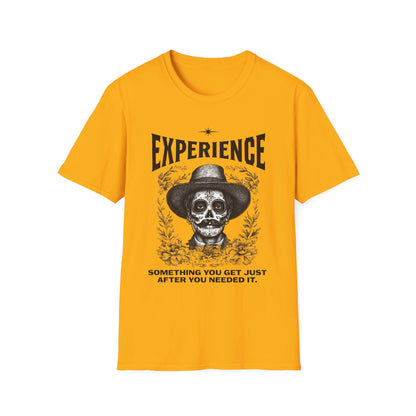 Experience