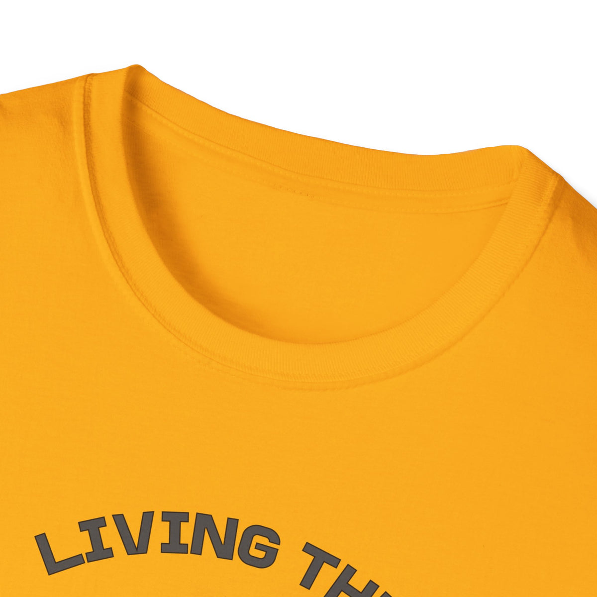 Living the Pickleball Dream Shirt | Pickleball T-Shirt