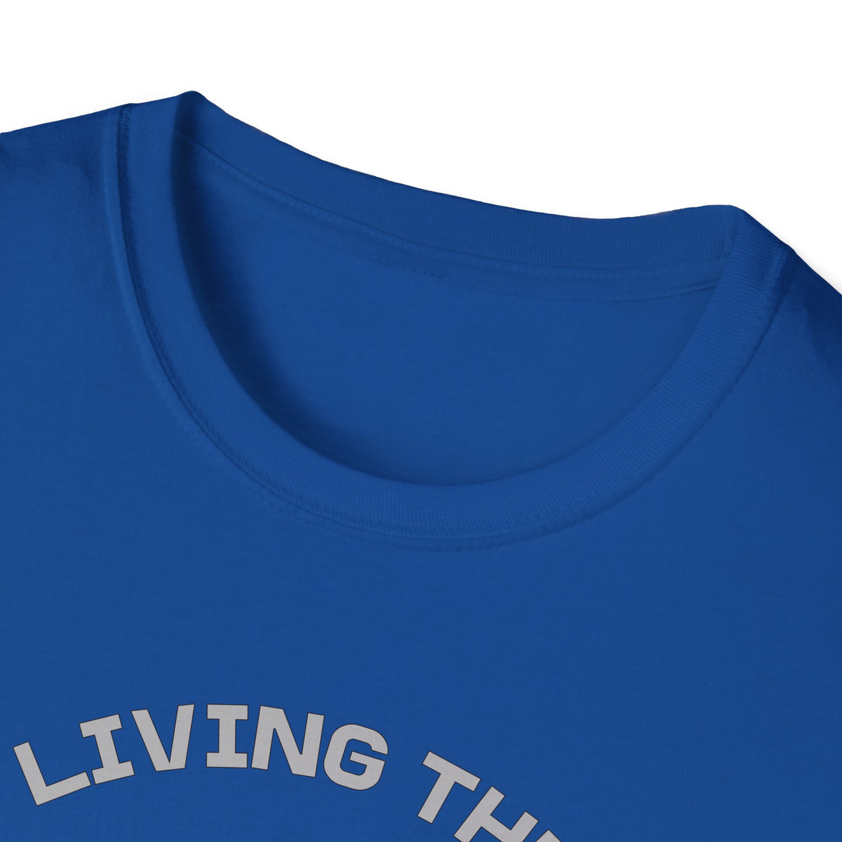 Living the Pickleball Dream Shirt | Pickleball T-Shirt